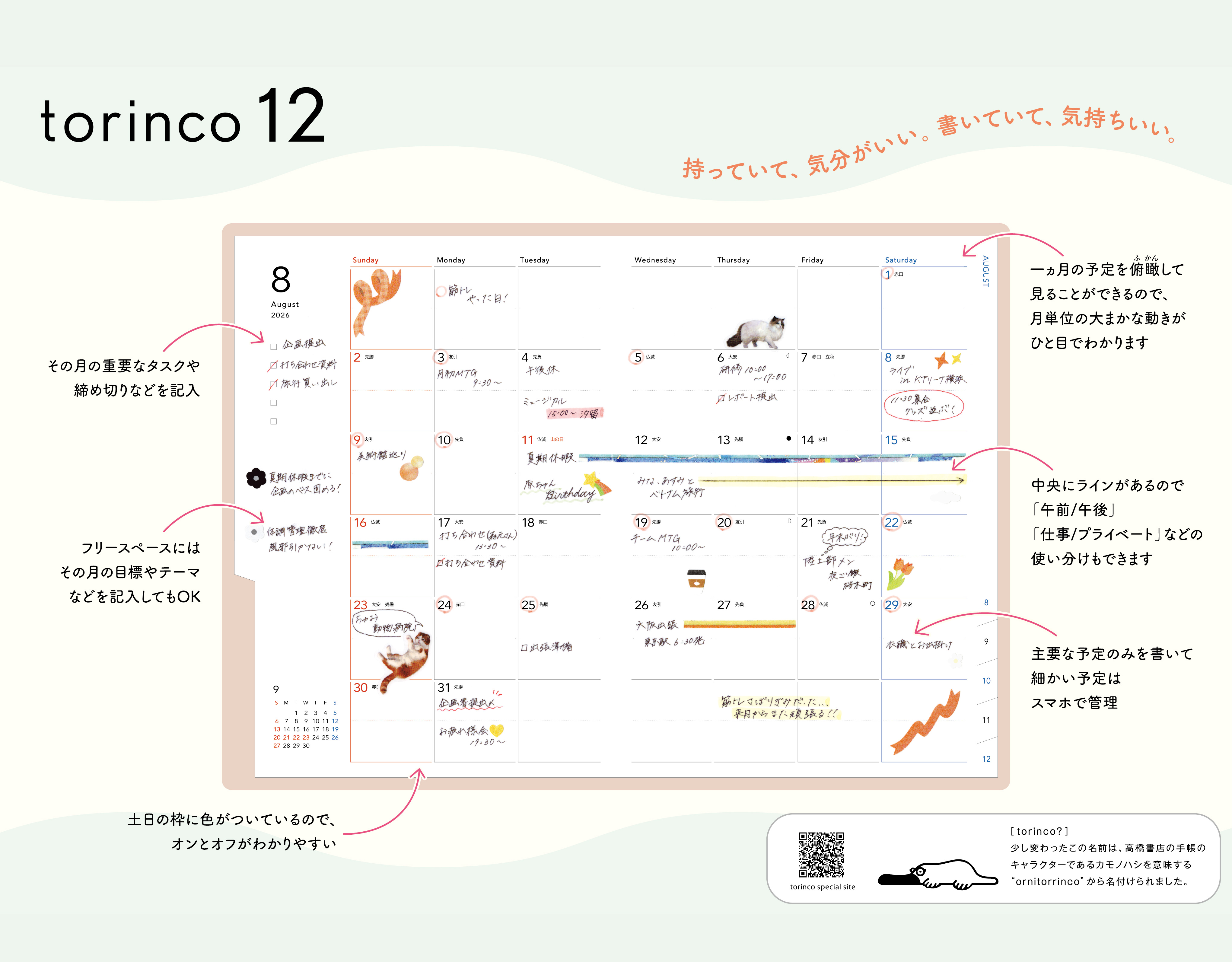 torinco 12 