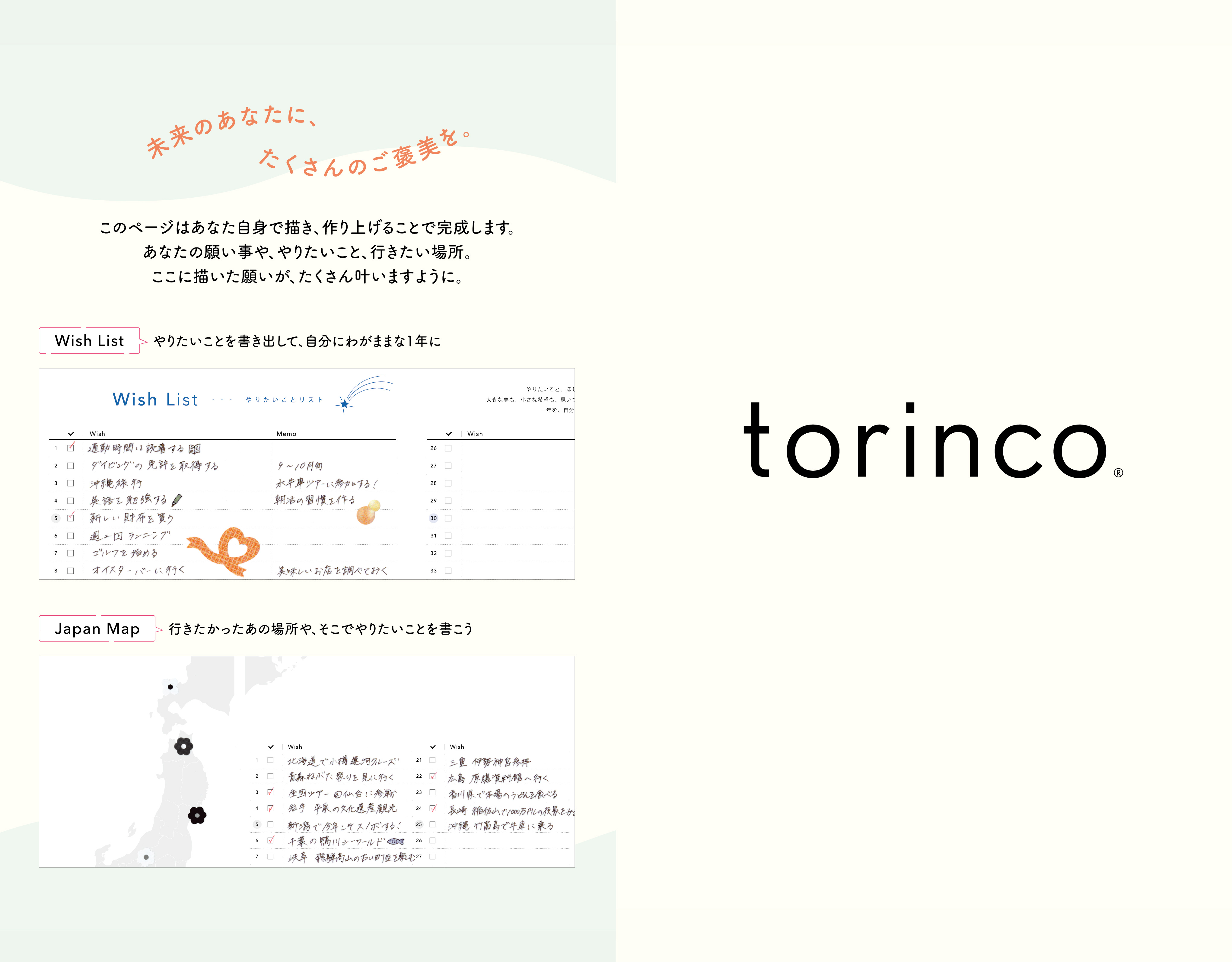 torinco 12 